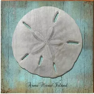 Anna Maria Island Sand Dollar SAN1 - Picture 1 of 6