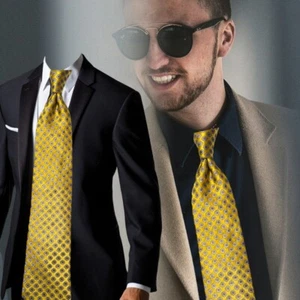 TED BAKER LONDON EXQUISITE WOVEN SILK NECKTIE, NWT $85 - Picture 1 of 9