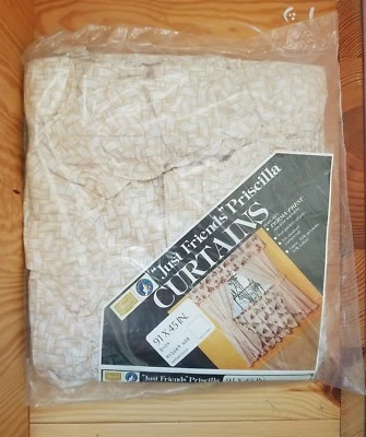 Sears "Just Friends" Priscilla Cortinas con Volantes Cesta Tejido Patrón Nuevo De Colección Foto 1 de 4