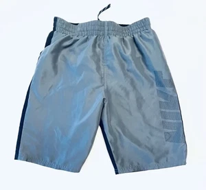 Nike Swimwear Swim Trunks shorts Boys Youth XL 13-15 Lined Gray/Navy EUC - Picture 1 of 9