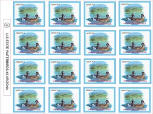 ARIZONA STATE WATERBIRD - THE RING-NECKED DUCK  - 16 PER SHEET - Picture 1 of 1
