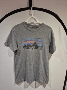 MENS PATAGONIA SHORT SLEEVE GRAPHIC PRINT T-SHIRT SIZE MEDIUM - Picture 1 of 4