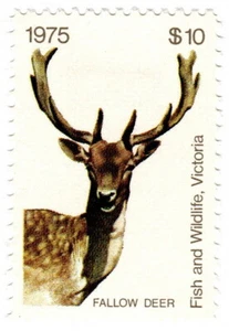 (I.B) Australia - Victoria Revenue : Hunting Tax $10 (1975) - Picture 1 of 1
