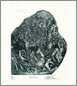 Briar Patch / Thorny Bushes Botanical Plants - ORIGINAL ETCHING Signed Numbered - Picture 1 of 1