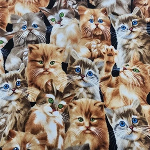 Quilt Craft Fabric Packed Kittens Tabby Michael Searle Timeless Treasures 1.83yd - Picture 1 of 5