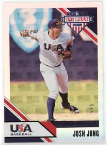 2020 Panini USA Baseball Stars & Stripes Josh Jung #'d 5/5!! - Picture 1 of 2