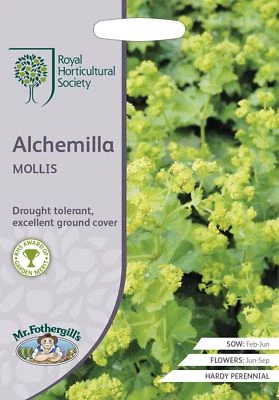Mr Fothergills -  Flower - RHS Alchemilla Mollis - 200 Seeds - Image 1 of 2