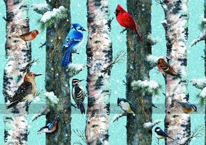 Vögel 1000 Teile Puzzle von Piatnik (UK) - Bild 1 von 1