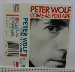 1, PETER WOLF--COME AS YOU ARE, USED AUDIO CASSETTE, PASSED OUR PLAY TEST - Picture 1 of 3