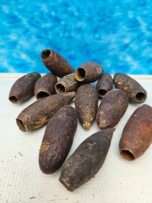 Jecetiba-Kapsel Aquarium Natur Höhle - Bild 1 von 2