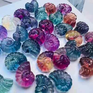 5pc Natural fluorite carved mini conch quartz crystal reiki healing Gem decor - Picture 1 of 7