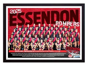 Framed 2025 Essendon Bombers AFL Football Poster - 84cm x 59.5cm x 3.5cm - Foto 1 di 3