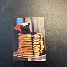 Jb10a Sabrina The Teenage Witch 1999 Mystical Dart #66 Salem Cat Pancake Badness