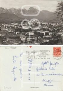 FELTRE - PANORAMA - STAZIONE FERROVIARIA (BELLUNO) 1956 TARGHETTA - Imagen 1 de 1