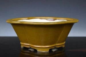 Japanese Bonsai Pot Tokoname EIMEI 8"(20.3cm) Soba-yuu Glazed Oval Mokko L358 - Picture 1 of 6