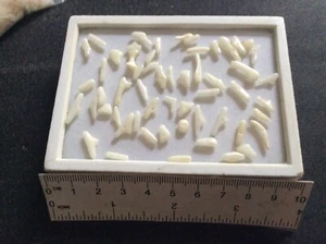 PERLINE DI CORALLO NATURALE FORATO - Bild 1 von 1