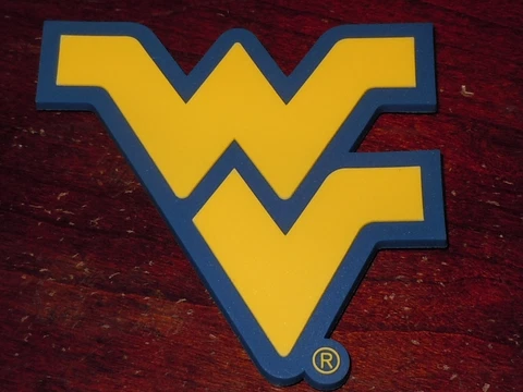 WEST VIRGINIA MOUNTAINEERS Vtg BIG 12 NCAA Thick RUBBER MAGNET Standings Board Cover