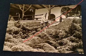 Altes Foto 1960 Bad Harzburg Sonnenhof Winuwuk Harz Ausflug 60s 60er Vintage (Z1 - Bild 1 von 2