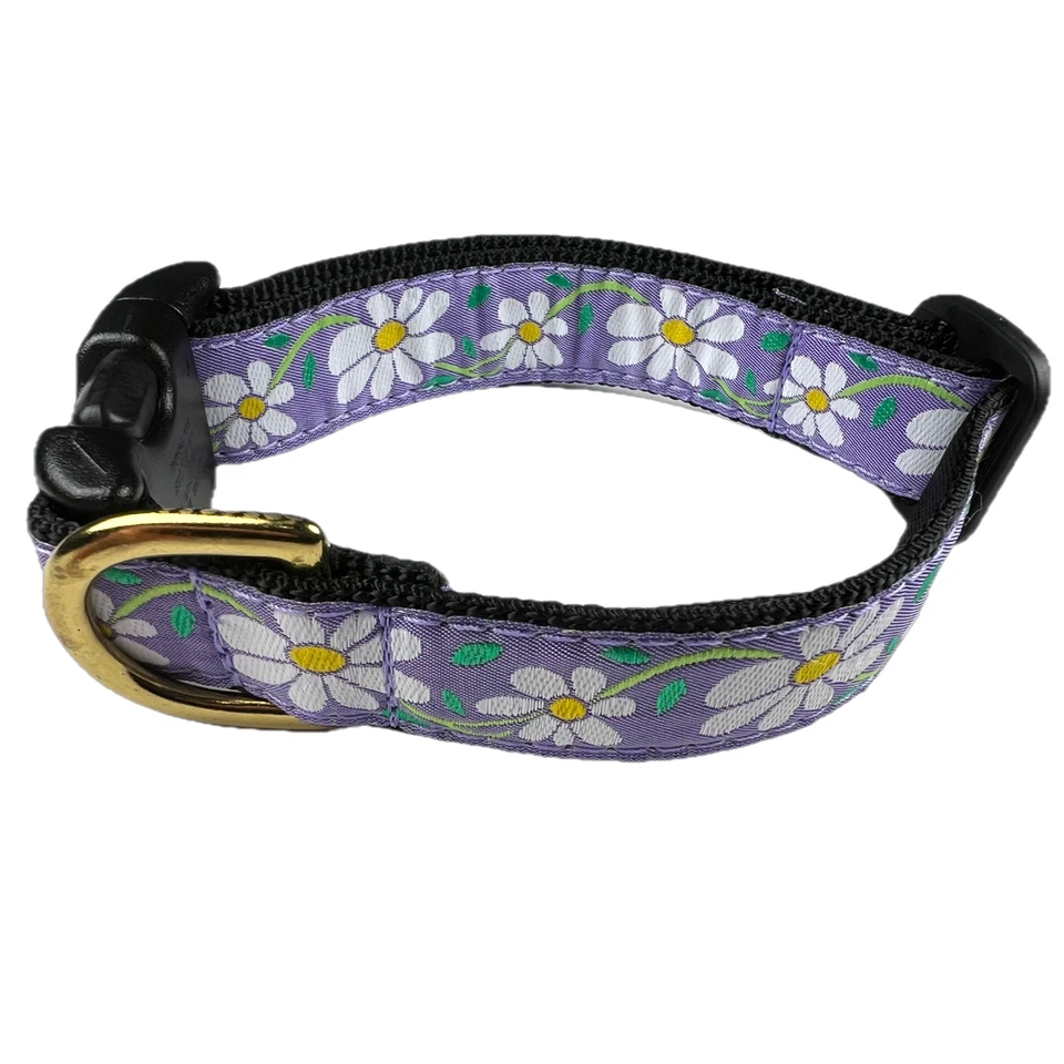 Collar de perro Up Country con flor de margarita. 1" de ancho. Collar de perro MED tamaño 12"-18" NUEVO Foto 1 de 1