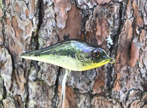SPEEDBAITS Custom Airbrush Humpback Jerkbait Swimbait - Bild 1 von 12