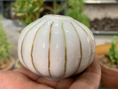 Perillas de cajón de cerámica hechas a mano vintage muebles cajón gabinete perilla tirador Foto 1 de 4