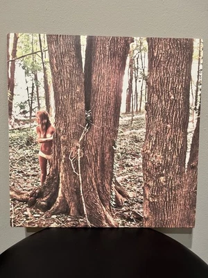 Anthony Green Beautiful Things 2012 Vinyl Record Photo Finish Circa Survive Foto 1 de 4