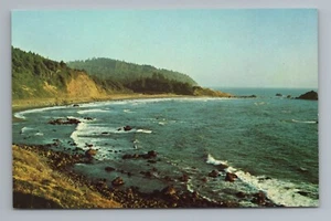 Cartolina Del Norte Coast Redwoods State Park California - Foto 1 di 2
