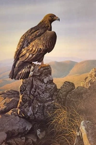 Stampa in oro massiccio firmata edizione limitata di Ron Louque - Golden Eagle - Foto 1 di 1