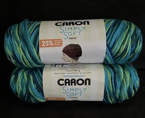 (2) Caron Simply Soft Paints filato PIUMA DI PAVONE #21007 verde blu acqua, 5 once - Foto 1 di 7