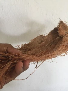 Pol Mudu Coconut Husk Chips Dried Ceylon Topical Natural Organic Pure 100% - Picture 1 of 4