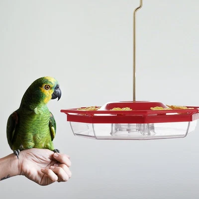  16 Pcs Bird Feeder Dispenser Hummingbird Parts Replacement Flowers - Image 1 of 4