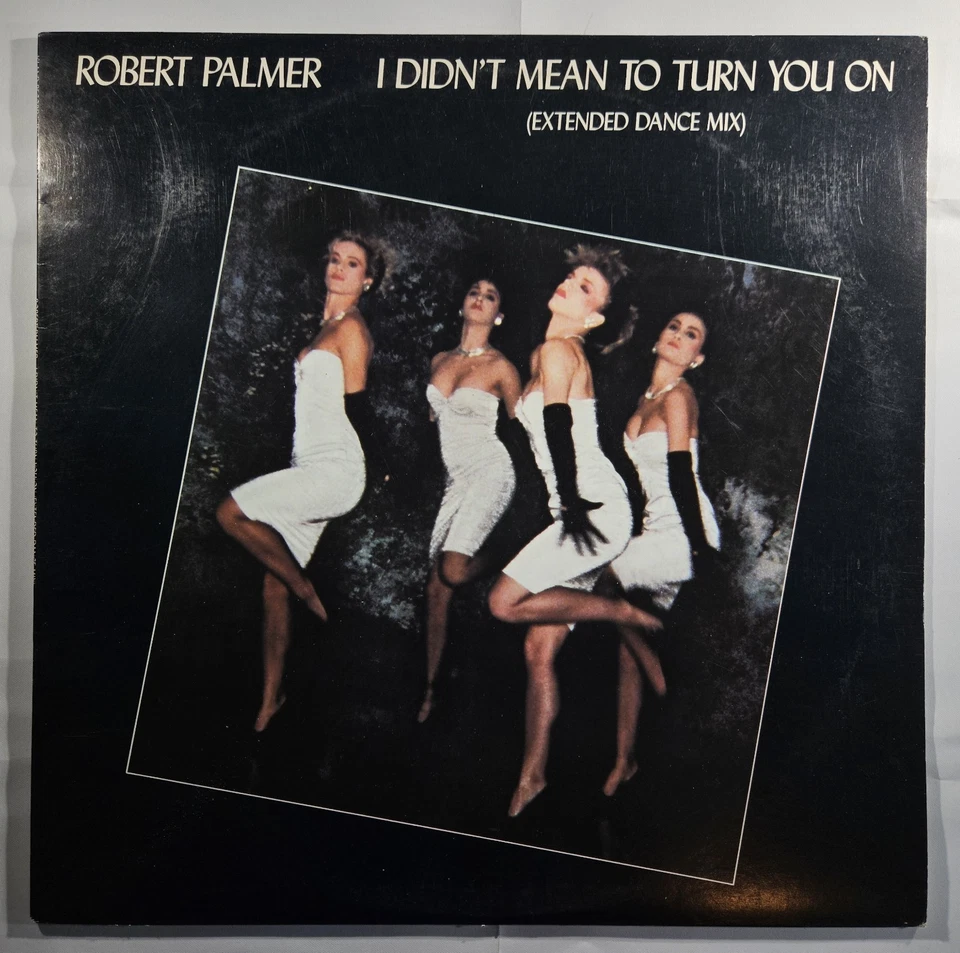 Robert Palmer - I Didn't Mean to Turn You On [1986 Used Vinyl Record 12" Single] - Image 1 of 4
