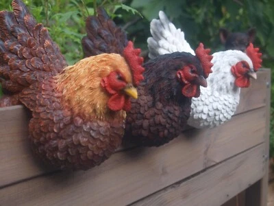 Huhn Henne Deko Figur Zaunhocker natürlich Hahn Gartenfigur NEUHEIT - Bild 1 von 4