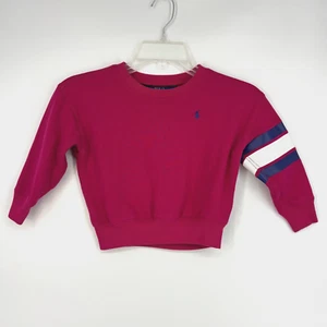 Polo Ralph Lauren Toddler Size 3T Crewneck Sweatshirt Fuchsia Pink Stripes Stain - Picture 1 of 10