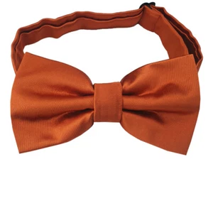 Burnt Orange Men's Bow Tie - Picture 1 of 1
