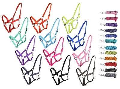 Einfarbiges Halfter oder Strick für unsere Lieblinge Größe Mini Shetty - XL Full - Bild 1 von 2