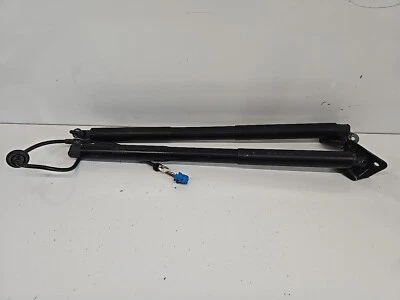 2013-2019 MERCEDES GL450  REAR TRUNK LIFTGATE STRUT SHOCKS PAIR X2 OEM Foto 1 de 4