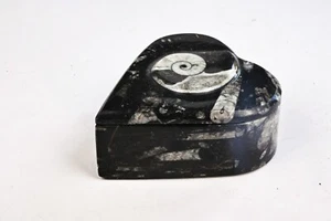 Boite a bijoux Mabre fossile Goniatite et orthoceras 436g - Picture 1 of 6