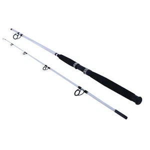 8’ Big Game Spinning Rod Two Piece Surf Rod Moderate Fast Action Fishing Rods - Picture 1 of 6