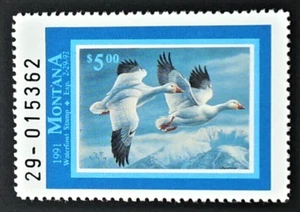 1991 Montana Duck Stamp, MT39, Snow Geese by Joe Thornbrugh, ***Below Face*** - Bild 1 von 2