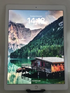 Apple iPad Pro 12.9" INCH - 2nd Gen (2017) - 256GB - Silver - WiFi Only Model - Picture 1 of 13