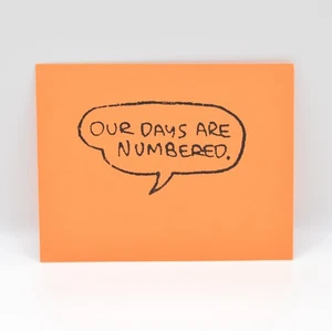 Damian Lopes, Our Days Are Numbered, Utopic Furnace Press, 1991, Concrete Poetry - Foto 1 di 4