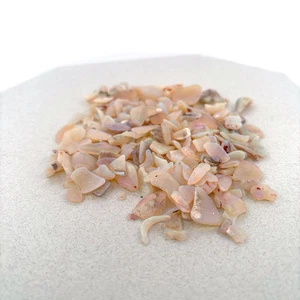 Inlay Material - Opalized Shell Fragments from Australia, 225.8ct Parcel - Picture 1 of 5