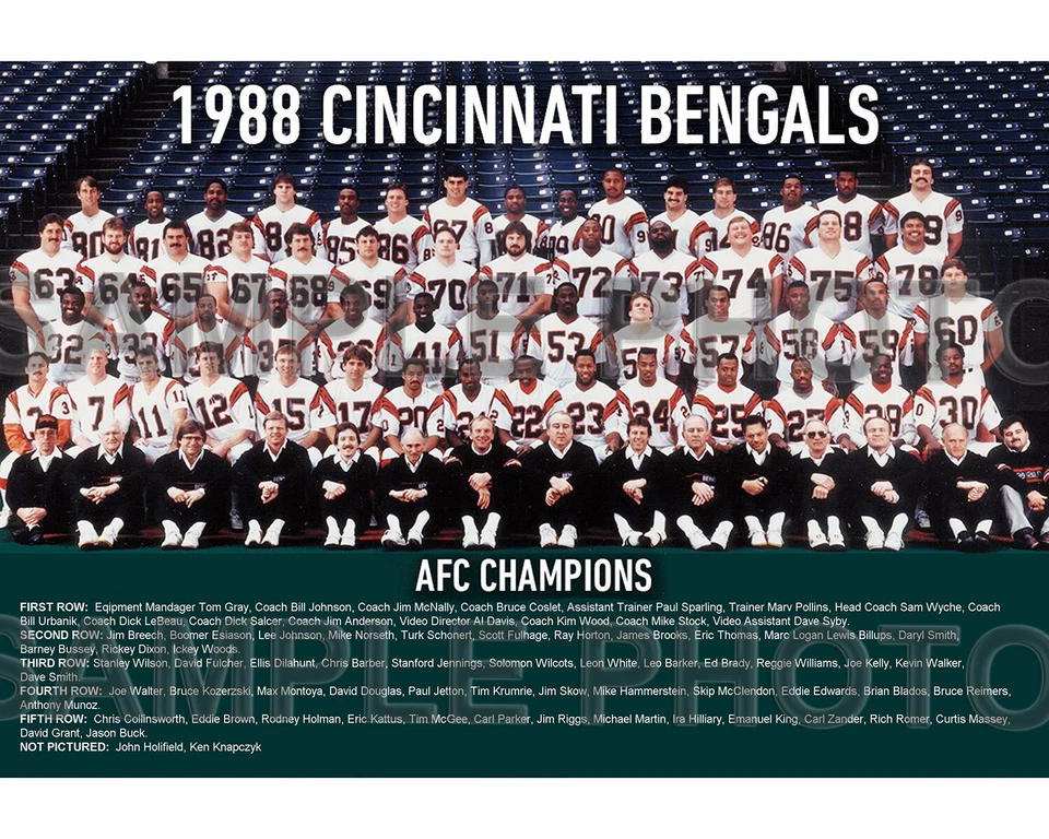 FOTO FOTO TIME 1988 CINCINNATI BENGALS AFC CHAMPIONS SUPER BOWL 23 8X10 - Imagem 1 de 1