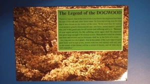 POSTCARD OF THE DOGWOOD LEGEND - Picture 1 of 2