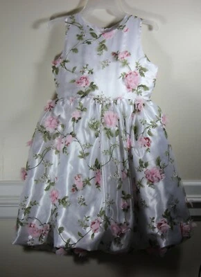 VESTIDO PERSIGUIENDO LUCIÉRNAGAS NIÑAS TALLA 12 NUEVO SIN USAR NAVIDAD OCASIÓN ESPECIAL POOFY Foto 1 de 4