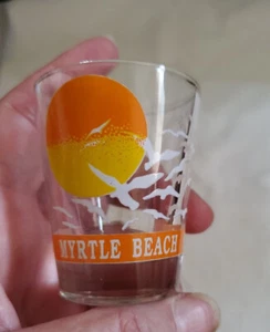 Myrtle Beach South Carolina Shot Glass Birds Travel Memorabilia Taiwan - Picture 1 of 4