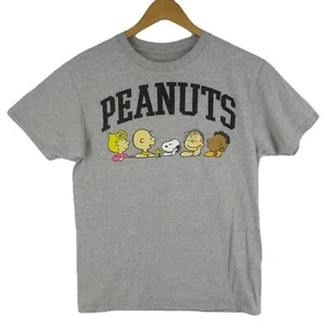 Mens M Official The Peanuts Gang T Shirt Grey Charlie Brown Lucy Snoopy - Picture 1 of 6