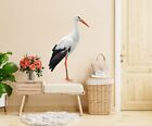 3D Black Feather Crane N801 Animal Wallpaper Mural Poster Wall Stickers Decal