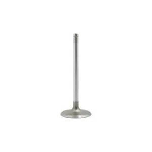 DNJ EINLASSVENTIL FÜR CHEVROLET TAHOE 2000–2006 5.3L V8 INTAKE VALVE - Bild 1 von 1